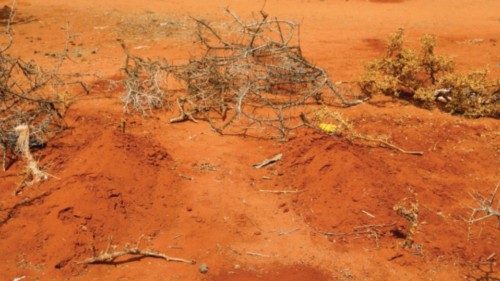 A view of graves of twin sisters Ebla and Abdia who died of hunger at the Kaxareey camp for the ... A view of graves of twin sisters Ebla and Abdia who died of hunger at the Kaxareey camp for the ...