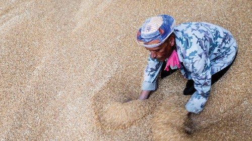 A worker collects wheat at the Benha grain silos, in Al Qalyubia Governorate, Egypt, May 19, 2022. ...