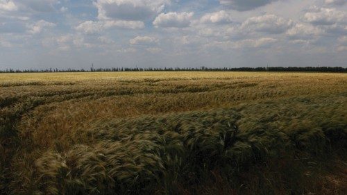 A field of winter wheat is pictured outside Bashtanka, Mykolaiv region, as Russia's attacks on ...