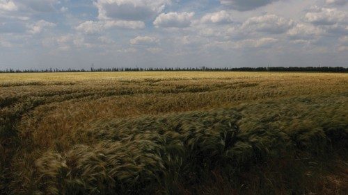 A field of winter wheat is pictured outside Bashtanka, Mykolaiv region, as Russia's attacks on ... A field of winter wheat is pictured outside Bashtanka, Mykolaiv region, as Russia's attacks on ...