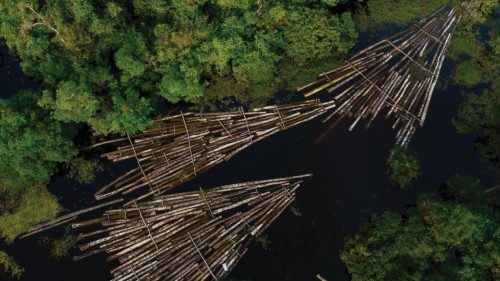 (FILES) This file photo taken on July 16, 2020 shows an aerial view of logs of wood seized by the ...