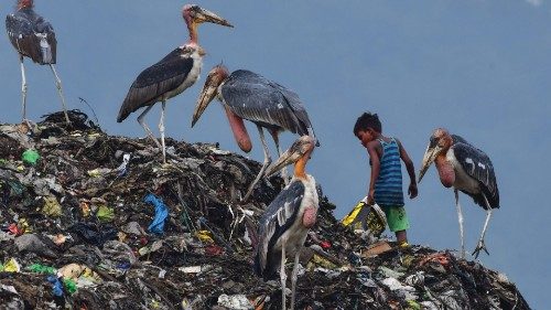 A boy searches for recyclable materials next to greater adjutant storks at a garbage dumpsite in ...