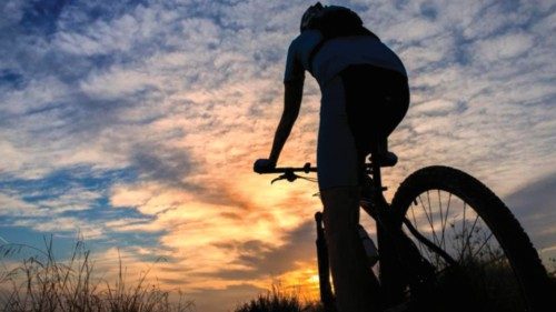 Una spesa giusta (e in bici) per favorire chi produce nel rispetto dell’ambiente QUO-156 Una spesa giusta (e in bici) per favorire chi produce nel rispetto dell’ambiente QUO-156