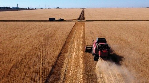 This aereal picture taken on July 7, 2022 shows a farmer harvesting wheat near Kramatosk in the ...