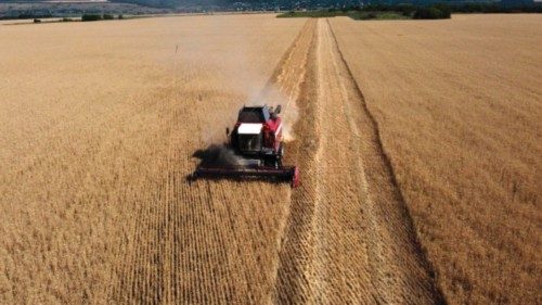 This aereal picture taken on July 7, 2022 shows a farmer harvesting wheat near Kramatosk in the ...