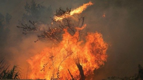 A wildfire burns in Ourem, Santarem district, Portugal July 12, 2022. REUTERS/Rodrigo Antunes
