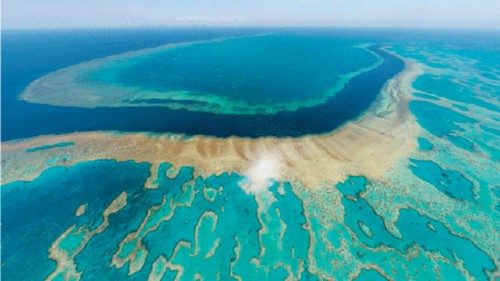 Anche la Grande barriera corallina soffre il caldo QUO-165 Anche la Grande barriera corallina soffre il caldo QUO-165