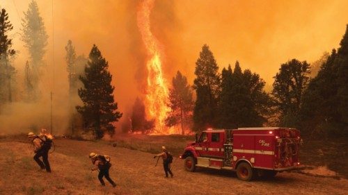 MARIPOSA, CALIFORNIA - JULY 23: Cal Fire firefighters battle the Oak Fire on July 23, 2022 near ...