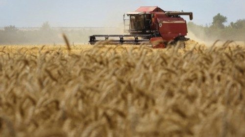 A combine harvests wheat in Russian-held part of Zaporizhzhia region, Ukraine July 23, 2022.  ...