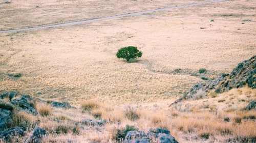 Già esaurite le risorse della Terra per il 2022 QUO-171 Già esaurite le risorse della Terra per il 2022 QUO-171