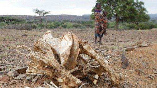 Carcasses of a camel that died as a result of drought following failed rain seasons is seen at the ... Carcasses of a camel that died as a result of drought following failed rain seasons is seen at the ...