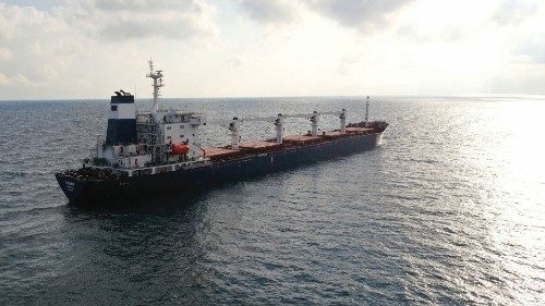 FILE PHOTO: The Sierra Leone-flagged cargo ship Razoni, carrying Ukrainian grain, is seen in the ...