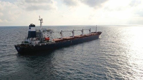 FILE PHOTO: The Sierra Leone-flagged cargo ship Razoni, carrying Ukrainian grain, is seen in the ... FILE PHOTO: The Sierra Leone-flagged cargo ship Razoni, carrying Ukrainian grain, is seen in the ...