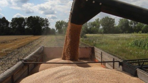 A combine harvester loads a truck with wheat in a field, as Russia's attack on Ukraine continues, in ...