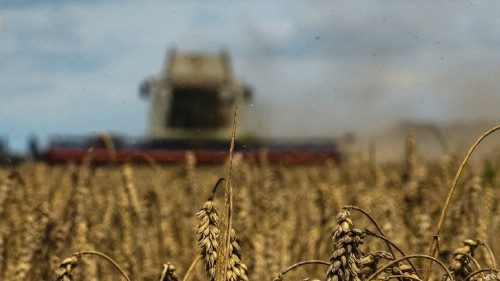 FILE PHOTO: A combine harvests wheat in a field near the village of Zghurivka, amid Russia's attack ...