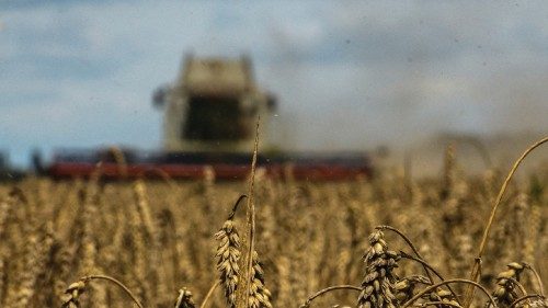 FILE PHOTO: A combine harvests wheat in a field near the village of Zghurivka, amid Russia's attack ... FILE PHOTO: A combine harvests wheat in a field near the village of Zghurivka, amid Russia's attack ...