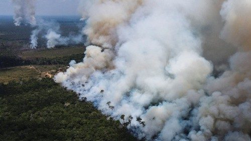 FILE PHOTO: Smoke from burning vegetation rises in Brazilian Amazon rainforest near the ...