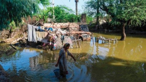 TOPSHOT - In this picture taken on August 28, 2022, Amina Khatoon carries a bucket of water to her ...