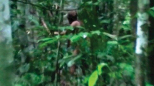 Grab taken from a file video taken on March 11, 2011, and released on July 18, 2018, by Brazil's ... Grab taken from a file video taken on March 11, 2011, and released on July 18, 2018, by Brazil's ...
