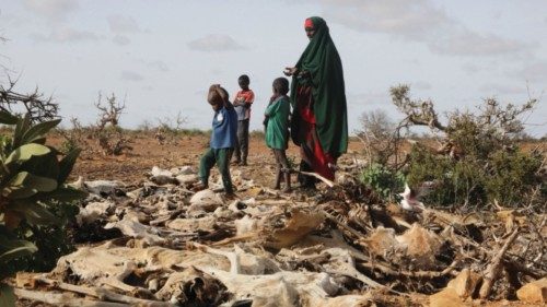 FILE PHOTO: Internally displaced Somali woman Habiba Bile and her children stand near the carcasses ...