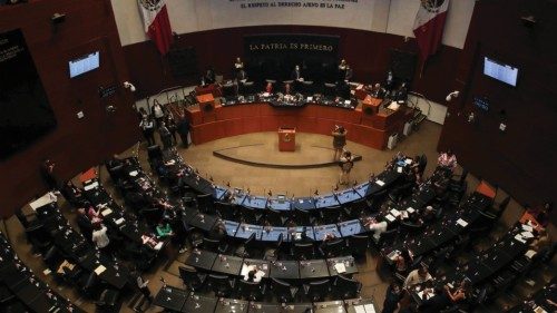 A view shows senators during a session at Mexico's senate as they discusses an initiative by ...