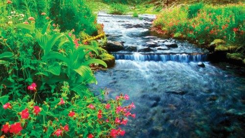 L’acqua della terra ci sta parlando QUO-208 L’acqua della terra ci sta parlando QUO-208