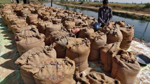 FILE PHOTO: FILE PHOTO: A worker packs a sack filled with rice on the outskirts of the western ...