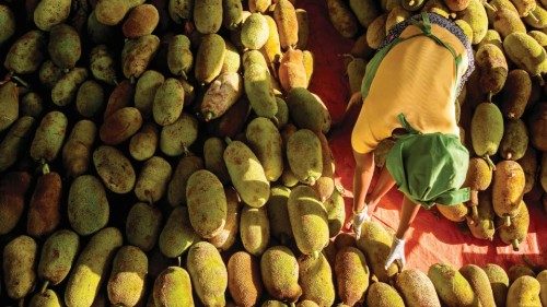 Workers process jackfruit to export as a meat substitute for vegans and vegetarians at Enimiro, a ...