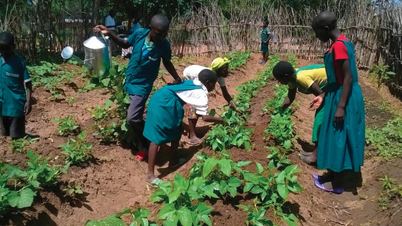  In Malawi gli orti ecologici forniscono le cure ai malati di Aids  QUO-214