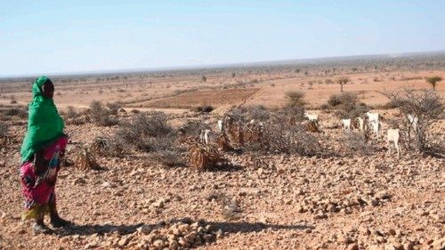  La siccità nel Corno d’Africa colpisce 36 milioni di persone  QUO-217