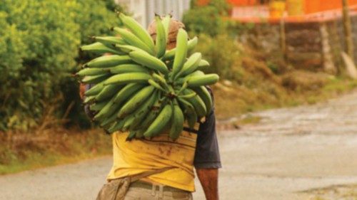 Una strada alternativa QUO-218 Una strada alternativa QUO-218