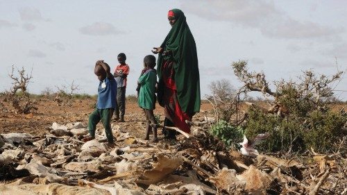 FILE PHOTO: Internally displaced Somali woman Habiba Bile and her children stand near the carcasses ...