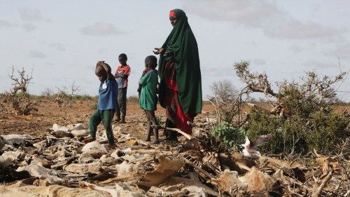 FILE PHOTO: Internally displaced Somali woman Habiba Bile and her children stand near the carcasses ... FILE PHOTO: Internally displaced Somali woman Habiba Bile and her children stand near the carcasses ...
