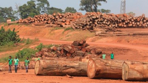 Workers are seen at the industrial woodwork facility on March 31 2022 outside the forest near the ...