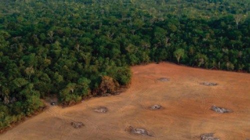 TOPSHOT - Aerial view of a deforested area of the Amazonia rainforest in the surroundings of the ...