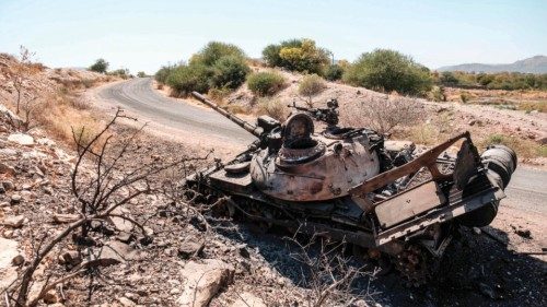 La crisi nel Tigray fa paura all’Africa QUO-236 La crisi nel Tigray fa paura all’Africa QUO-236