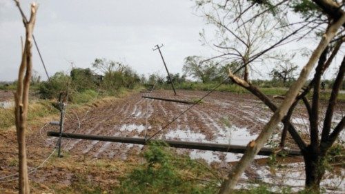 A view of damaged electricity poles following the passing of Hurricane Roslyn that hit the Mexico's ...