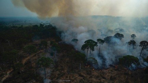 Aerial view showing smoke rising from an illegal fire at the Amazonia rainforest in Labrea, Amazonas ...