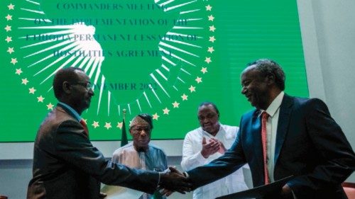 Chief of staff of the Ethiopian Armed Forces and Field Marshal Berhanu Jula (L) shakes hands with ... Chief of staff of the Ethiopian Armed Forces and Field Marshal Berhanu Jula (L) shakes hands with ...