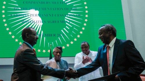 Chief of staff of the Ethiopian Armed Forces and Field Marshal Berhanu Jula (L) shakes hands with ...