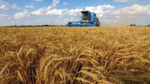 FILE PHOTO: A combine harvests wheat during Ukraine-Russia conflict in the Russia-controlled village ...