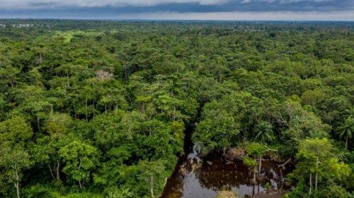  Il “guerriero” che pianta alberi   QUO-269