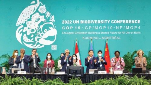 The leadership of the U.N.-backed COP15 biodiversity conference applaud after passing the The ...