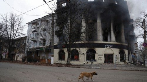 A dog walks past a building burned from a strike, as Russia's attack on Ukraine continues, during ...