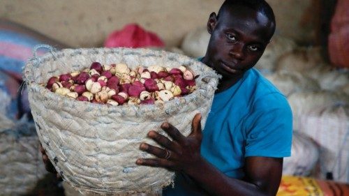 epa10431515 A workers sort through kola nuts in Anyama near Abidjan, Ivory Coast, 26 January 2023. ...