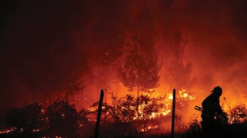 A firefighter walks past a wildfire in Quillon, Chile, February 7, 2023. REUTERS/Ivan Alvarado