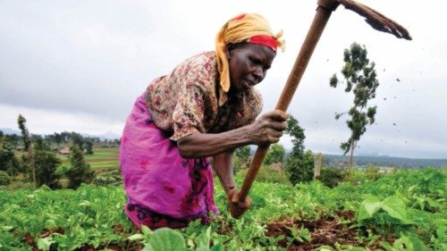 Il continente africano investe sull’agricoltura QUO-031 Il continente africano investe sull’agricoltura QUO-031