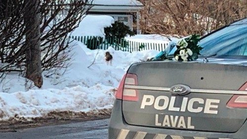 White flowers lay on a police car near the location where a city bus crashed into a day care center, ... White flowers lay on a police car near the location where a city bus crashed into a day care center, ...