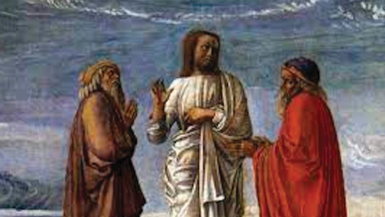  Luce, voce, tocco  QUO-049