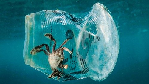   Nel pianeta c’è più plastica che animali  QUO-054